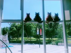 -飞行喵MR PILOT|猫舍·猫咖(静安大融城店)