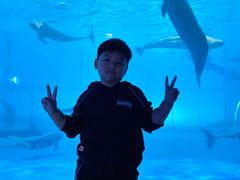 -泉城欧乐堡海洋极地世界