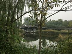-日出青木·杭帮菜名店