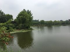-东郊湿地公园
