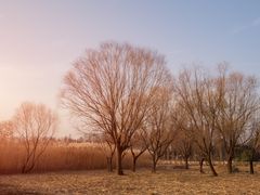 -太湖湖滨国家湿地公园-停车场