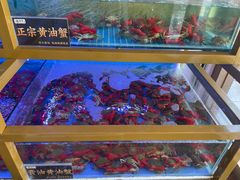 -膳富贵黄油蟹体验馆(欢乐港湾店)