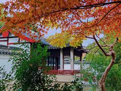 -秋霞圃