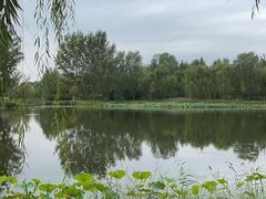-东郊湿地公园