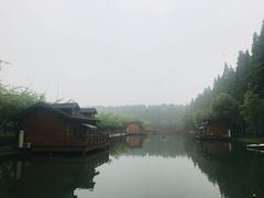 -金岛生态园烧烤露营地