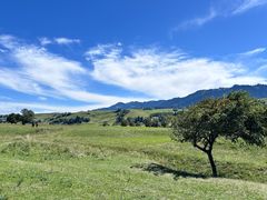 -新疆那拉提国家旅游度假区