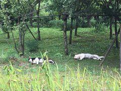 -贵阳市花溪国家城市湿地公园