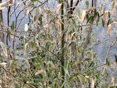 -天目湖御水温泉·度假酒店