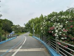 -贡湖湾湿地公园