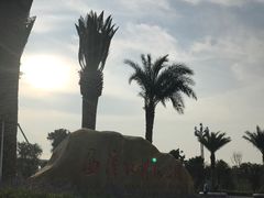 -宝安西湾红树林湿地公园