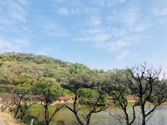 -南国桃园旅游度假区