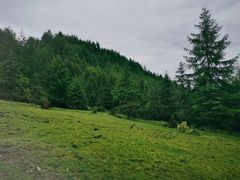 -硗碛藏寨·神木垒景区