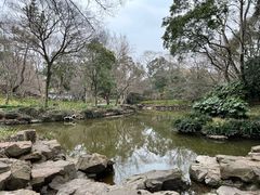 -秋霞圃
