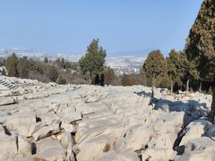 -原山国家森林公园