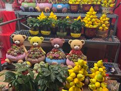 -越秀西湖花市(广州城市广场花卉店)