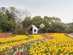 -上海鲜花港