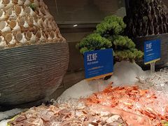 -星伦多自助料理·涮烤一体(江桥万达店)