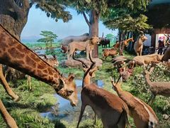 -国家自然博物馆