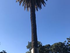 -墨尔本皇家植物园