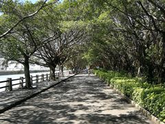 -大湾区中央湿地公园