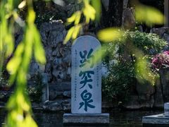 -趵突泉景区