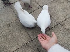 -大连海昌东方水城