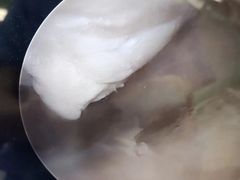 -上海市第十人民医院(总院)