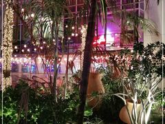 -Dampa Seafood Grill - Dubai