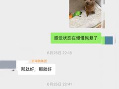 -瑞鹏宠物医院·内科·中兽医·骨科(苗圃店)