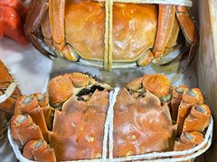 -黄记大闸蟹专卖店·活蟹·醉蟹