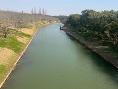 -上海海湾国家森林公园