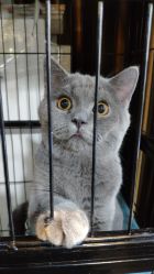 店内环境-飛凡TATTOO纹身•原创