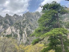 -王顺山国家森林公园