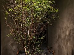 -森SPA·泰式按摩·精油Massage(宝安中心店)