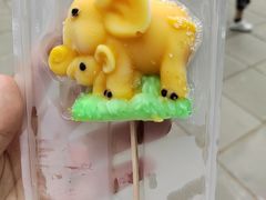 -秦皇岛野生动物园