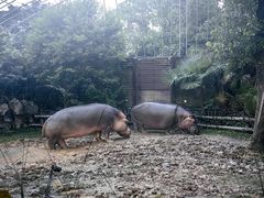 -上海野生动物园