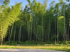 -同里国家湿地公园