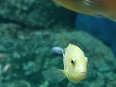 -石家庄极地海洋世界