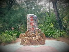 -北海金海湾红树林生态旅游区