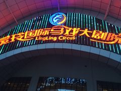 -灵玲国际马戏城