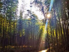 -天目湖御水温泉·度假酒店