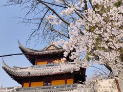 -龙华寺