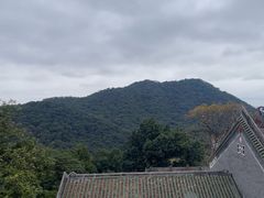 -鼎湖山风景区