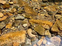 -黄山翡翠谷景区