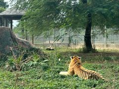 -东莞香市动物园