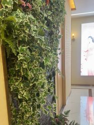 -芳朵美容养生SPA