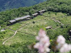 -白草畔自然风景区