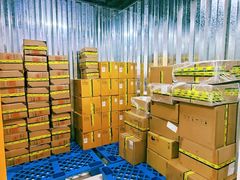 -安东易迷你自助仓储寄存仓库(杨浦店)