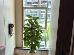 -通透堂中医·精准推拿(旗舰店)