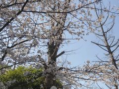 -两江幸福广场